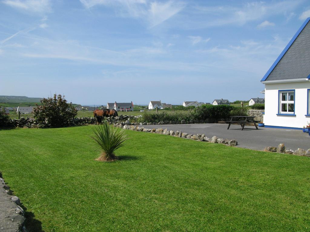 Bed and Breakfast Nellie Dee'S à Doolin Extérieur photo