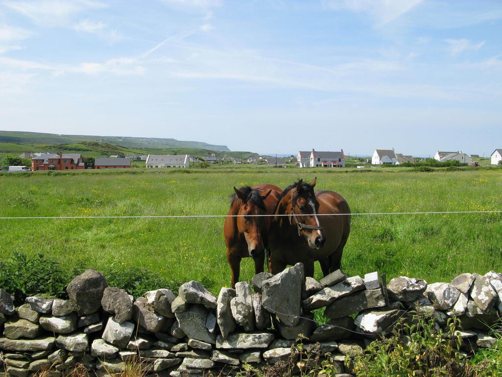 Bed and Breakfast Nellie Dee'S à Doolin Extérieur photo