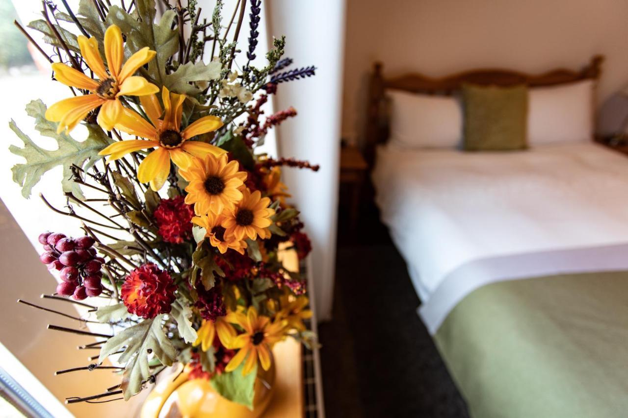 Bed and Breakfast Nellie Dee'S à Doolin Extérieur photo